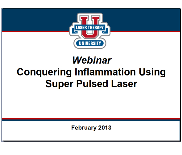 February 2013 LTU Webinar